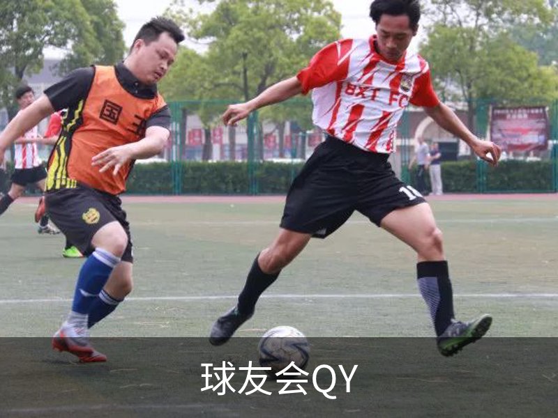 球友会QY品牌故事